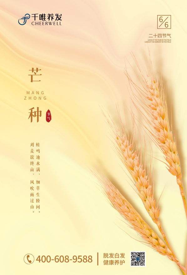 给每颗种子赋能浇灌，它才能长出自己的锋芒，头发如此，梦想亦如此