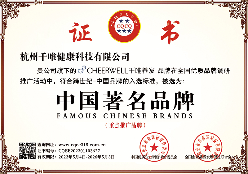 中国著名品牌